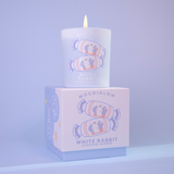 Candle - White Rabbit