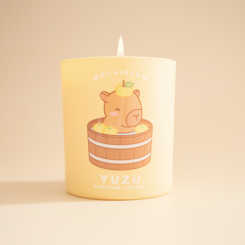 Mystery Oopsie - 10 oz Candle (final sale, no returns, with blemishes/issues/errors etc)