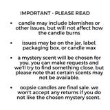 Mystery Oopsie - 8.5 oz Fantasy Candle (final sale, no returns, with blemishes/issues/errors etc)