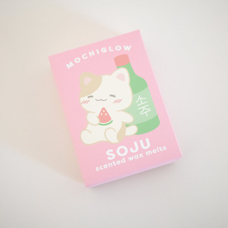 Mystery Wax Melt Bundle