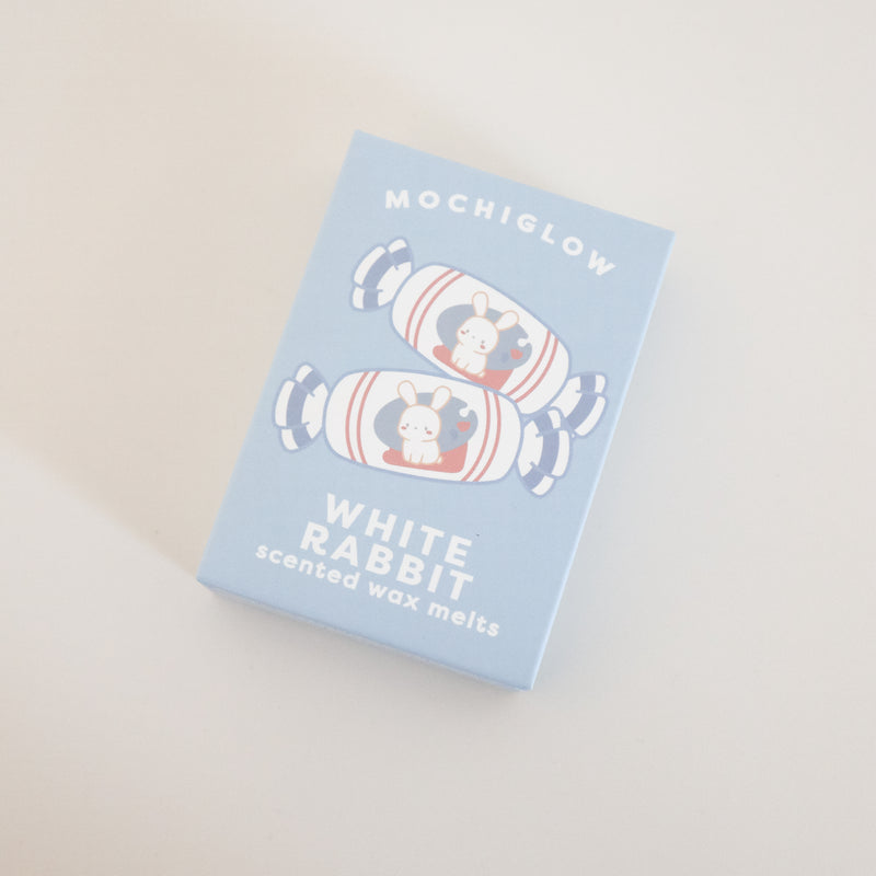 Mystery Wax Melt Bundle